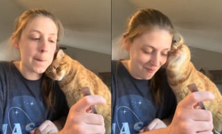 Illustration de l'article : Elle fait une promesse bouleversante à son chat s'étant senti délaissé avec l'arrivée du bébé (vidéo)