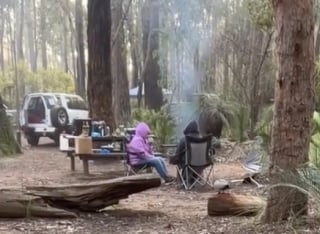 Illustration de l'article : "Son cerveau de chiot essaie de comprendre", un Golden Retriever découvre un canard pour la première fois et peine à contenir son excitation (vidéo)