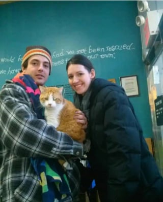 Illustration de l'article : Retrouvé sous un pont par un ouvrier, un chat borgne revoit sa famille dont il était privé depuis 7 ans