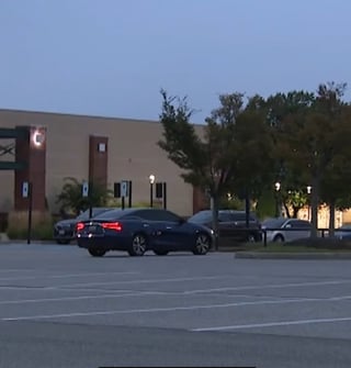 Illustration de l'article : Le temps s’arrête lorsqu’une femme, à qui le chien a été volé dans sa propre voiture, le prend à nouveau dans ses bras (vidéo)