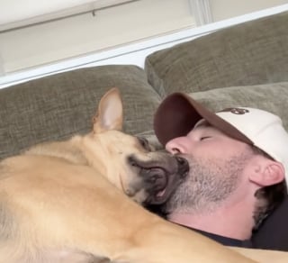 Illustration de l'article : "Si je pose ma tête, il pose la sienne", un chiot adopté reproduit tout les faits et gestes de son humain (vidéo)