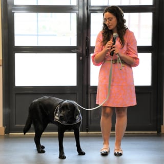 Illustration de l'article : L’Aveyron accueille son premier chien d’assistance judiciaire, formé pour apaiser l’angoisse des victimes face aux audiences