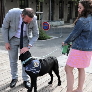 Illustration de l'article : L’Aveyron accueille son premier chien d’assistance judiciaire, formé pour apaiser l’angoisse des victimes face aux audiences
