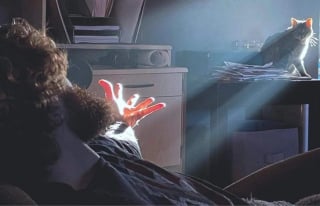 Illustration de l'article : 13 chats et chiens qui ne se doutaient pas que leur photo allait devenir un chef-d'œuvre