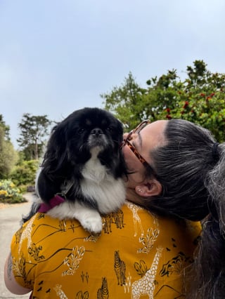 Illustration de l'article : Sa chienne est la “pire décision financière qu’elle ait jamais prise”, mais elle ne l'échangerait pour rien au monde