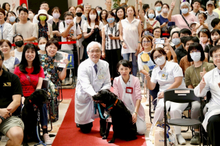 Illustration de l'article : Premier chien de thérapie en milieu hospitalier dans son pays, ce Labrador a droit à une cérémonie célébrant son départ à la retraite