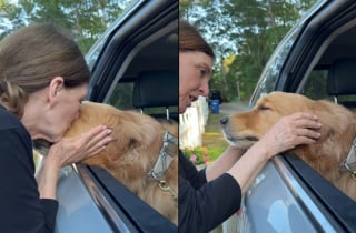 Illustration de l'article : Ce chien qui adore sa "mamie" vit un véritable déchirement chaque fois qu'elle doit lui dire au revoir (vidéo)