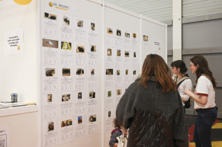 Illustration de l'article : L'Adoption Center de l'Animal Expo – Animalis Show, les 4 et 5 octobre, vous accompagne pour réussir votre projet d’adoption