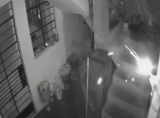 Illustration de l'article : "Je l’ai vue prendre l’explosif dans sa gueule", une chienne courageuse ronge un bâton de dynamite pour protéger sa maison et lutte pour se rétablir