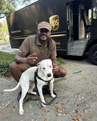 Illustration de l'article : 15 photos des animaux les plus mignons rencontrés par des chauffeurs livreurs lors de leurs tournées
