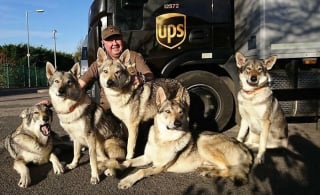 Illustration de l'article : 15 photos des animaux les plus mignons rencontrés par des chauffeurs livreurs lors de leurs tournées
