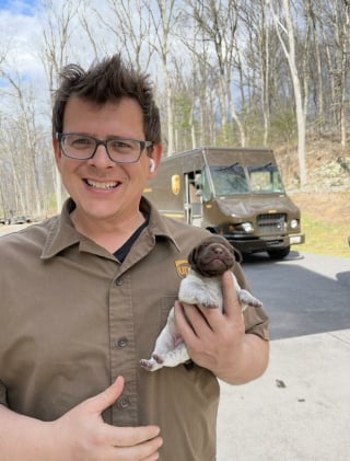 Illustration de l'article : 15 photos des animaux les plus mignons rencontrés par des chauffeurs livreurs lors de leurs tournées
