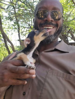Illustration de l'article : 15 photos des animaux les plus mignons rencontrés par des chauffeurs livreurs lors de leurs tournées