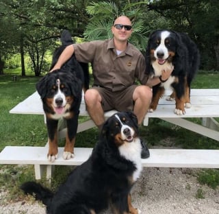 Illustration de l'article : 15 photos des animaux les plus mignons rencontrés par des chauffeurs livreurs lors de leurs tournées
