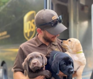 Illustration de l'article : 15 photos des animaux les plus mignons rencontrés par des chauffeurs livreurs lors de leurs tournées