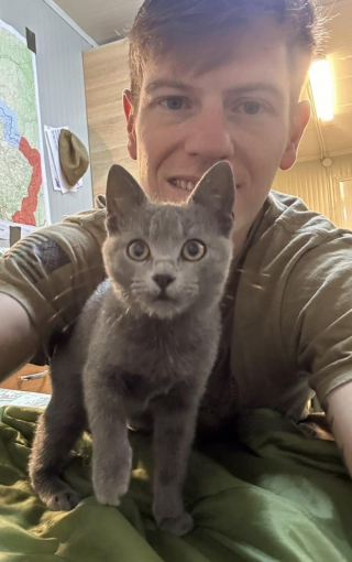 Illustration de l'article : Après avoir trouvé une chatte errante lors d’une mission à l’étranger, ce soldat met tout en oeuvre pour la ramener chez lui et lui offrir une belle vie