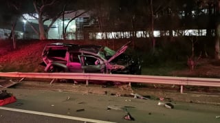 Illustration de l'article : Ejecté de la voiture lors d’un grave accident, un chien policier appelé à traquer un dangereux criminel est protégé par un passant jusqu’à l’arrivée des secours