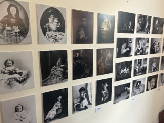 Illustration de l'article : À Montréal, une exposition rend hommage aux chats qui ont marqué la ville à travers les époques