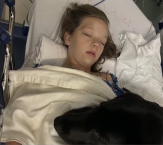 Illustration de l'article : A l’hôpital comme à l’école, ce chien d'assistance apporte réconfort et courage à une fillette malade qui le présente à ses camarades de classe