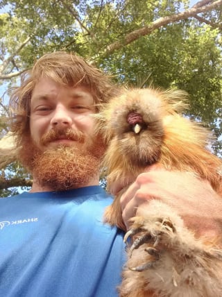 Illustration de l'article : 20 animaux de compagnie et leurs propriétaires qui se ressemblent comme 2 gouttes d’eau