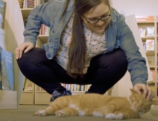 Illustration de l'article : Nommé « chat de l’année », ce félin est récompensé pour sa capacité à tisser des liens partout où il passe (vidéo)