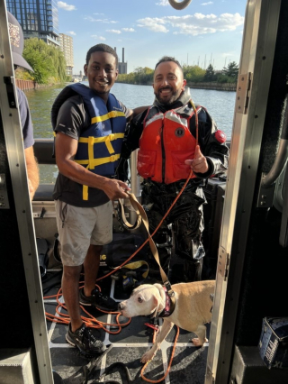 Illustration de l'article : Perdue depuis des heures, une chienne retrouvée coincée dans un conduit est sauvée grâce à un plongeur et son jouet préféré (vidéo)