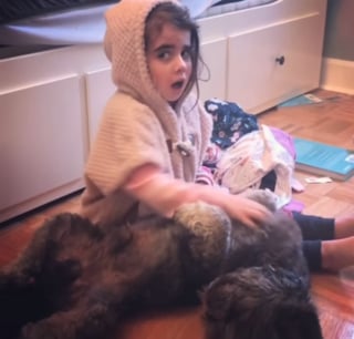 Illustration de l'article : Ce chien ayant aidé sa petite humaine à garder le sourire malgré la maladie continue de l'attendre, 5 ans après sa disparition (vidéo)