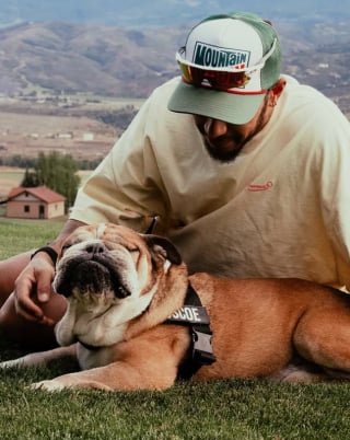Illustration de l'article : Le monde entier pleure la perte de Roscoe, chien et meilleur ami de Lewis Hamilton, qui s’est battu contre la maladie