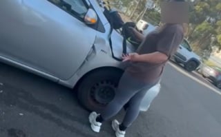 Illustration de l'article : Le sort d'un chien laissé en plein soleil dans une voiture indigne les passants qui interviennent et appellent les secours (vidéo)