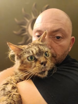 Illustration de l'article : Alertés par un signalement, des bénévoles découvrent 16 Maine Coons vivant dans l’insalubrité totale d’un élevage pourtant légal