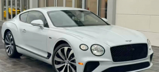 Illustration de l'article : Un chiot de 6 mois vol&eacute; dans une voiture de luxe est retrouv&eacute; abandonn&eacute; mais sain et sauf le lendemain