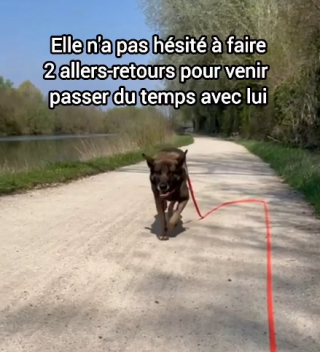 Illustration de l'article : Apr&egrave;s avoir &eacute;t&eacute; abandonn&eacute; 3 mois seul dans une maison, ce chien &eacute;pileptique d&eacute;couvre enfin la chaleur d&rsquo;un foyer (vid&eacute;o)