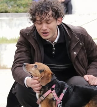 Illustration de l'article : L'université d'Orléans autorise exceptionnellement la présence de chiens en classe et découvre leur pouvoir apaisant sur le stress des étudiants