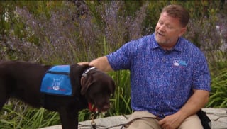 Illustration de l'article : Un ancien militaire atteint de traumatismes de guerre retrouve le sommeil et une vie normale grâce à son chien après des décennies de souffrance