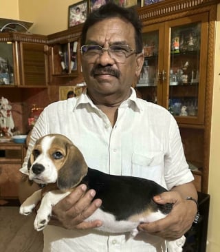 Illustration de l'article : 12 personnes qui ne voulaient pas d&rsquo;animal, mais ont fini par changer d&rsquo;avis