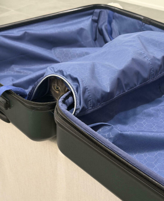 Illustration de l'article : 12 chats qui pensent &ecirc;tre des experts en camouflage