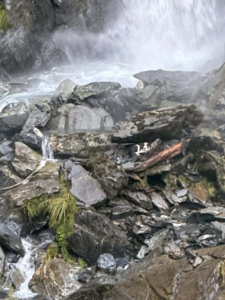 Illustration de l'article : Disparue apr&egrave;s la chute de sa ma&icirc;tresse, une Border Collie est sauv&eacute;e par h&eacute;licopt&egrave;re une semaine plus tard pr&egrave;s d&rsquo;une cascade 