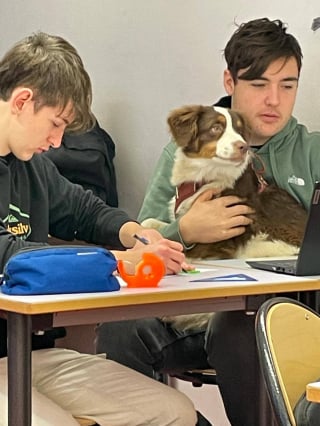 Illustration de l'article : Une enseignante dans un lyc&eacute;e agricole alsacien fait cours avec ses 3 chiens pour motiver ses &eacute;l&egrave;ves (vid&eacute;o)