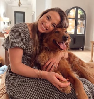 Illustration de l'article : Cette Golden Retriever profite de chaque changement de draps pour se laisser tomber sur le lit et r&eacute;clamer des caresses (vid&eacute;o)