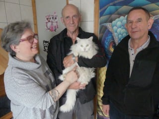 Illustration de l'article : Apr&egrave;s avoir adopt&eacute; un chat errant, un couple est accus&eacute; de vol par les anciens propri&eacute;taires qui portent plainte