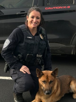 Illustration de l'article : Jugé inapte au travail et menacé d’euthanasie, ce chien repéré par une policière devient son partenaire pour la lutte anti-drogue