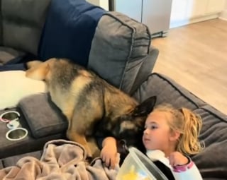 Illustration de l'article : Un ancien militaire adopte son Berger Allemand r&eacute;form&eacute; de l'arm&eacute;e pour soigner ses l&eacute;sions vert&eacute;brales