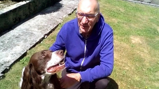 Illustration de l'article : Un couple de retrait&eacute;s adopte un Epagneul senior pour apaiser son angoisse li&eacute;e &agrave; de multiples abandons