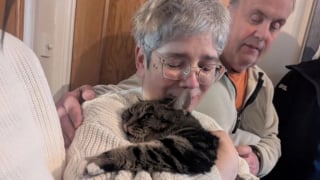 Illustration de l'article : Sauv&eacute; apr&egrave;s 5 heures d&rsquo;efforts, un chat coinc&eacute; entre 2 murs retrouve sa ma&icirc;tresse qui le cherchait depuis 4 ans