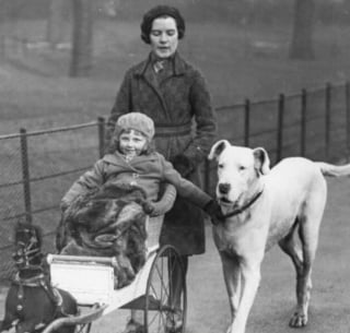 Illustration de l'article : 14 photos qui montrent que la force du lien entre humain et chien ne date pas d&rsquo;hier