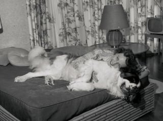 Illustration de l'article : 14 photos qui montrent que la force du lien entre humain et chien ne date pas d&rsquo;hier