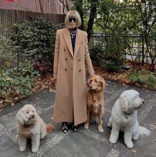 Illustration de l'article : 14 photos qui montrent que la force du lien entre humain et chien ne date pas d&rsquo;hier