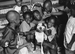 Illustration de l'article : 14 photos qui montrent que la force du lien entre humain et chien ne date pas d&rsquo;hier