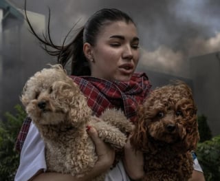 Illustration de l'article : 14 photos qui montrent que la force du lien entre humain et chien ne date pas d&rsquo;hier