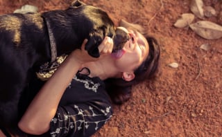 Illustration de l'article : Pourquoi votre chien vous l&egrave;che-t-il le visage avec insistance ? 8 raisons qui expliquent ce comportement